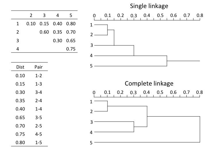cluster.example.png