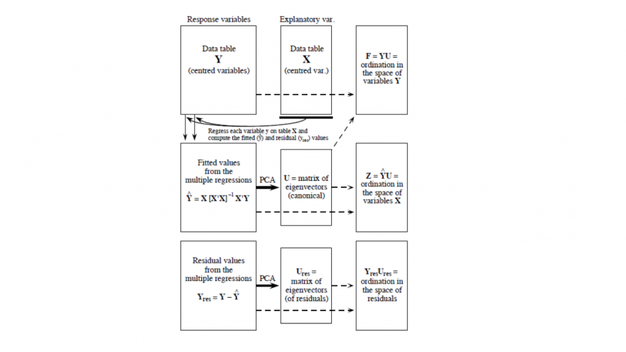 constrained_ord_diagram.png