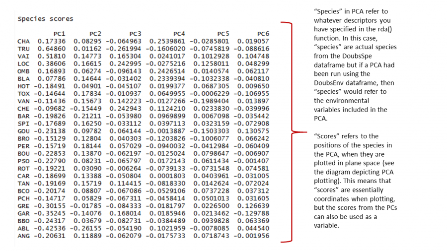 pcaoutput_2.png