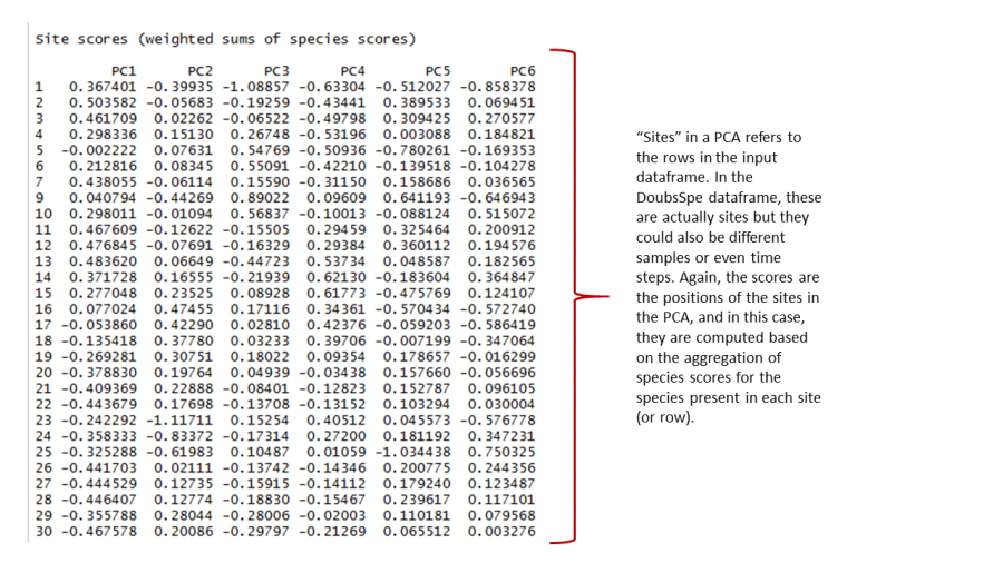 pcaoutput_3.png